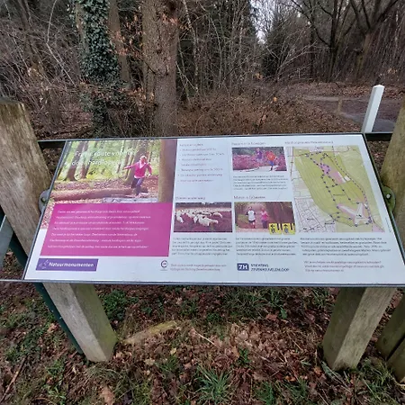 Galerie Maison D'art Loft Gasthof *