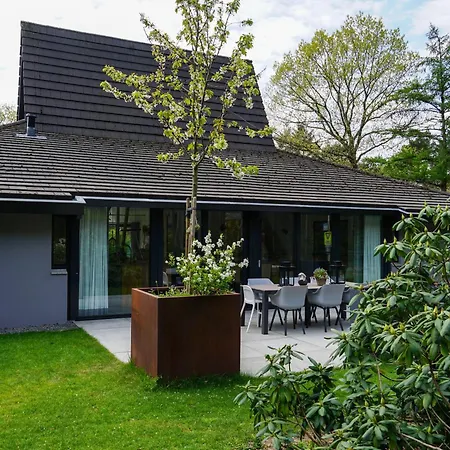 Galerie Maison D'art